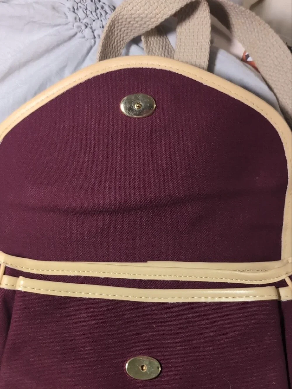 Aigner Plum Crossbody with Cream Trim and Canvas Strap